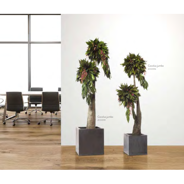 Preserved trees in office environment