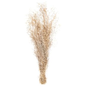 Munni Grs Natur  1 bdt