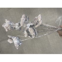 Palmcup p stilk 20 stk. whitewash