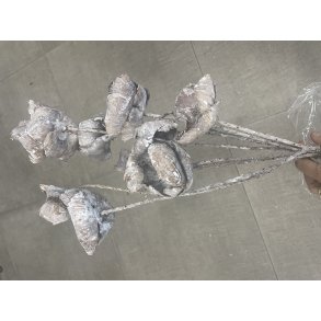 Palmcup p stilk 20 stk. whitewash