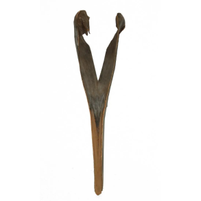 Palm Sving Natur 130-150 cm