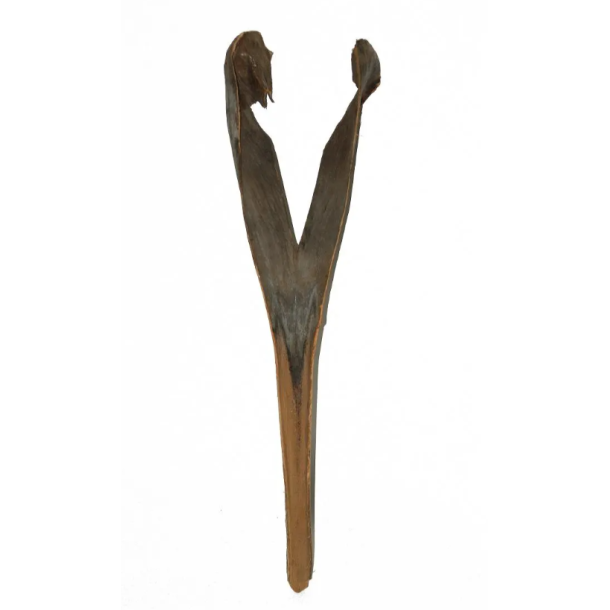 Palm Sving Natur 130-150 cm