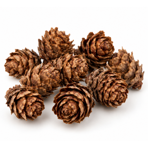 Peuce Kogler 2 kg. Natur
