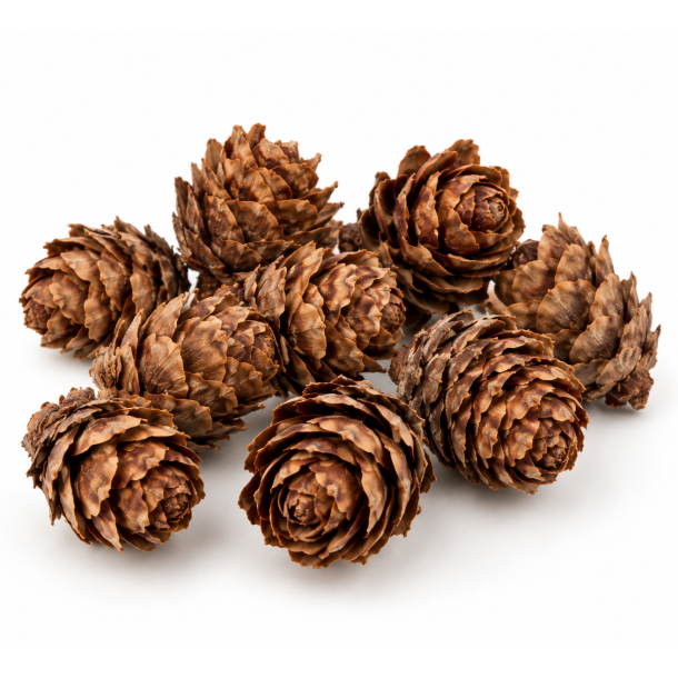 Peuce Kogler 2 kg. Natur