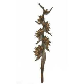 Sororoca Trunk 150-170 cm