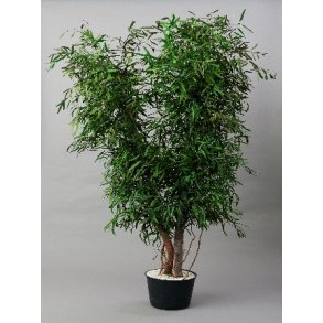 Wide nicoly 1,30 meter